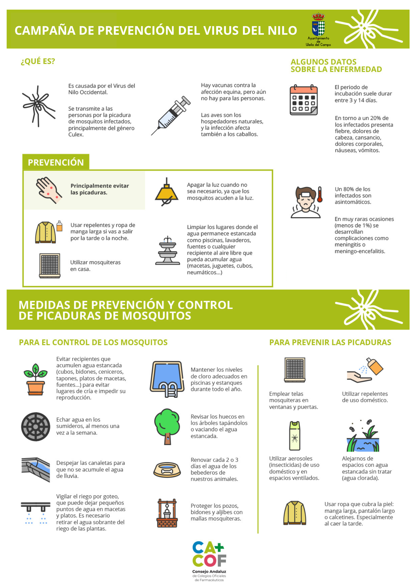 Ver imagen